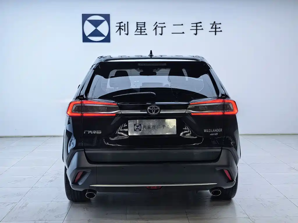 Toyota Wildlander 2021