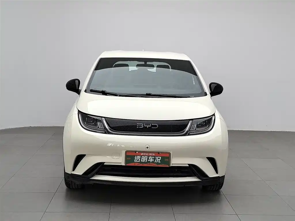 BYD Dolphin 2024