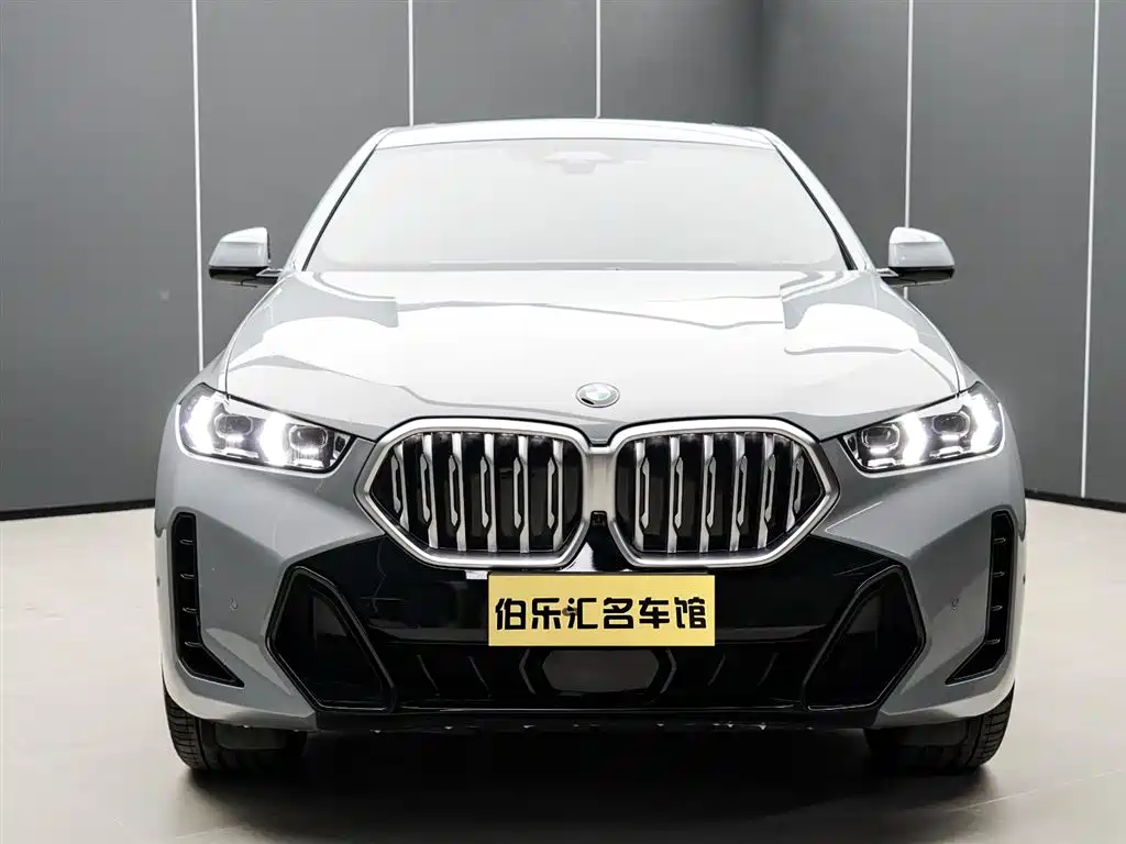 BMW X6 2024
