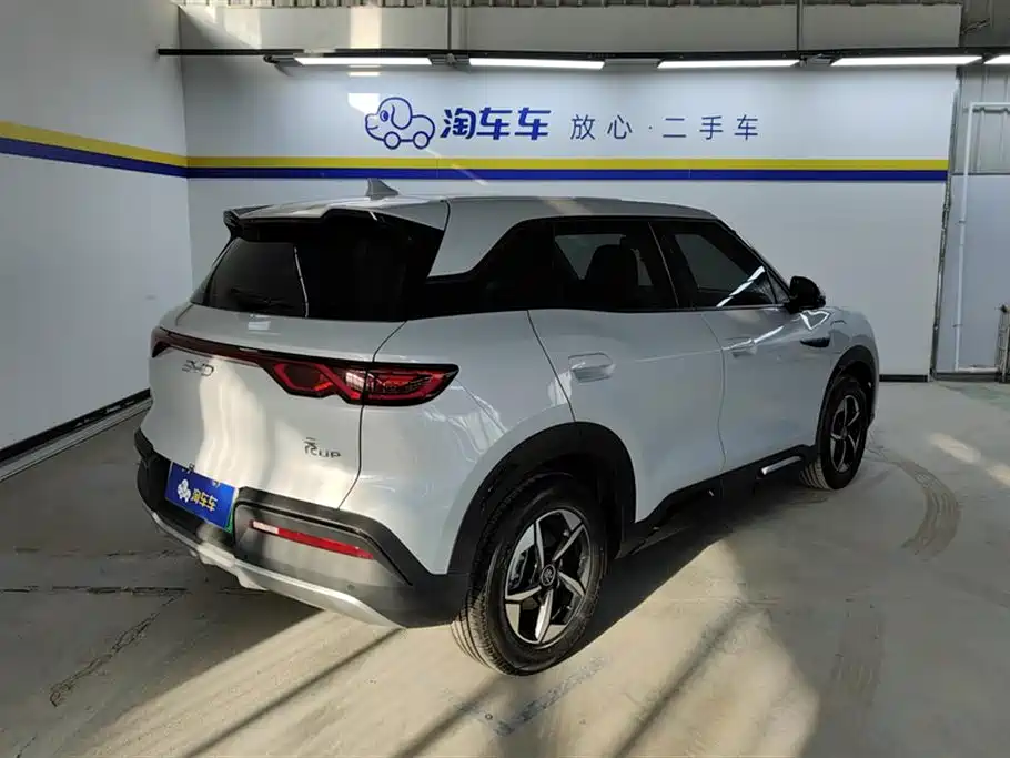 BYD Yuan Up 2024