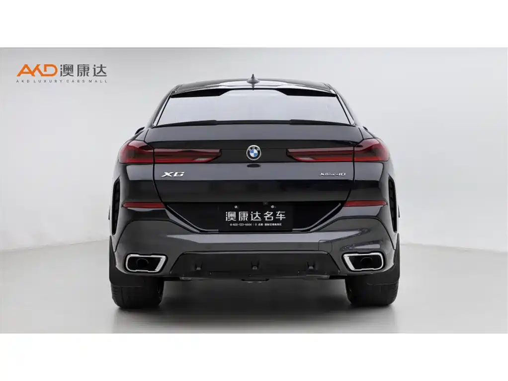 BMW X6 2021