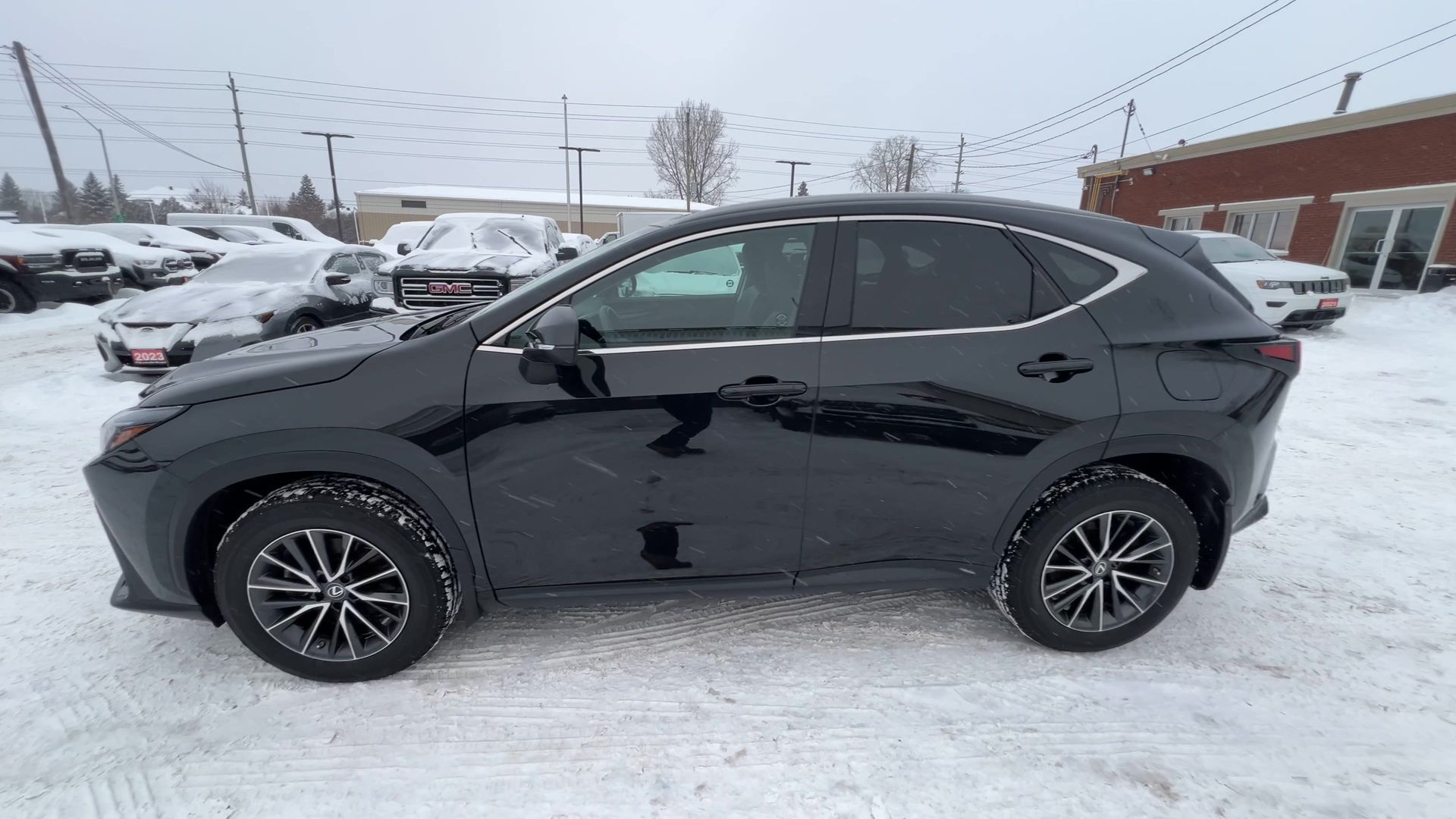 Lexus NX 2022
