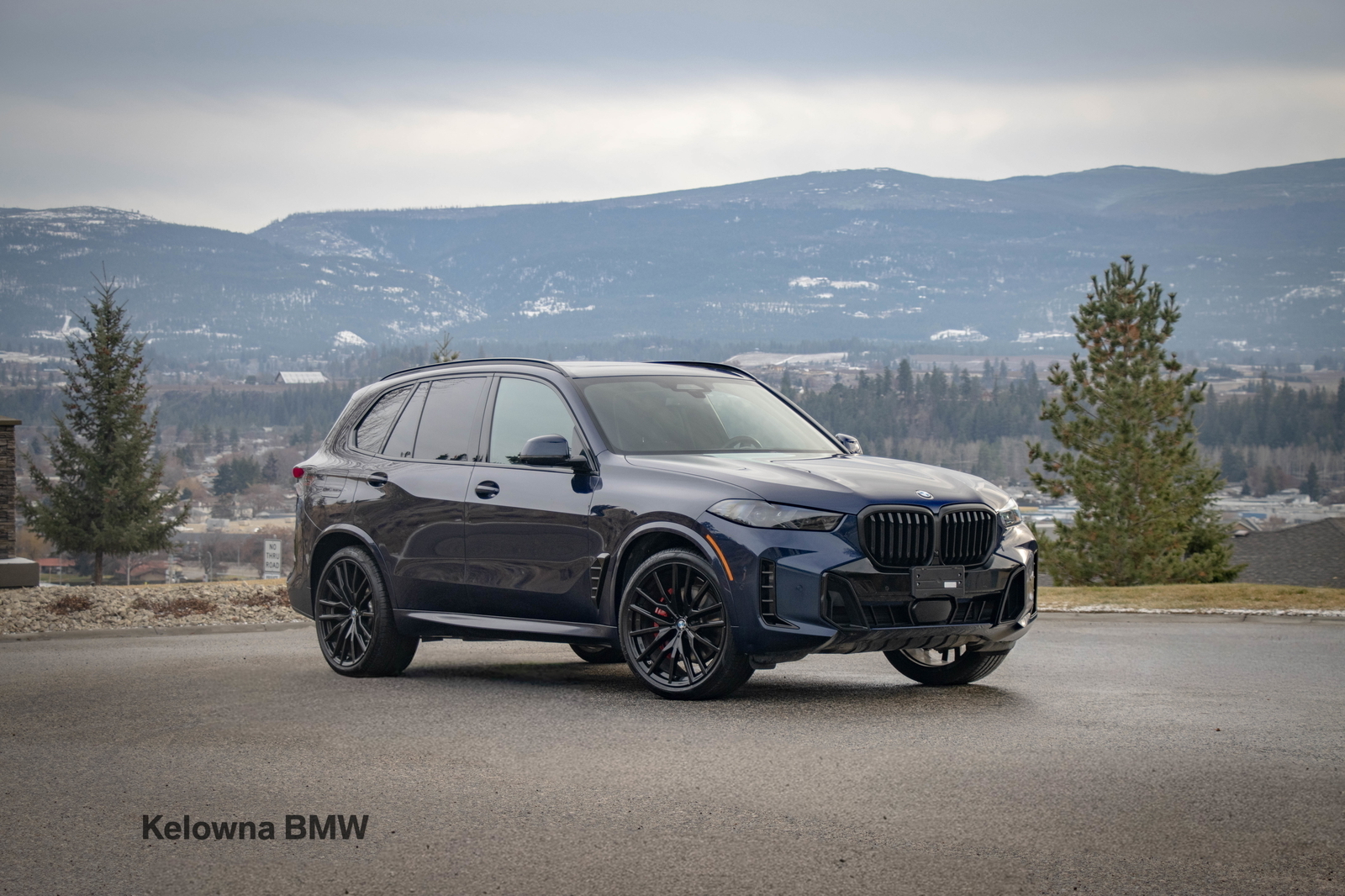BMW X5 2025