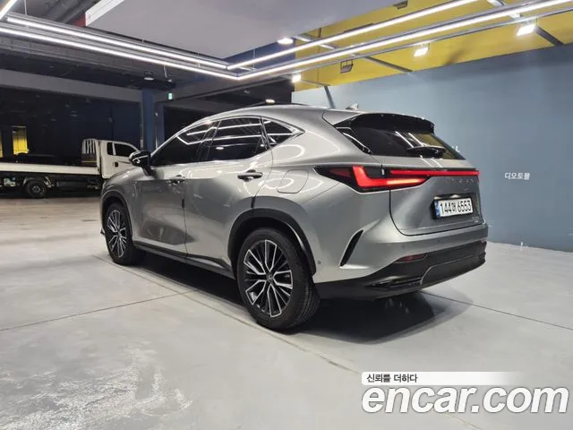 Lexus NX 2024