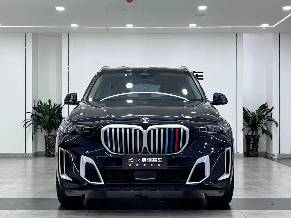 BMW X5 2024