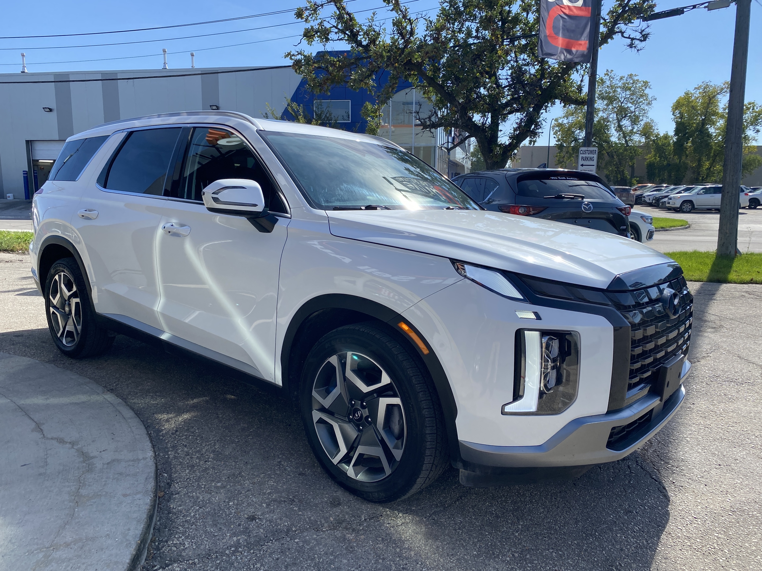 Hyundai Palisade 2024