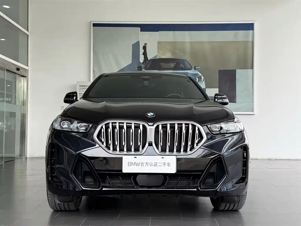 BMW X6 2025