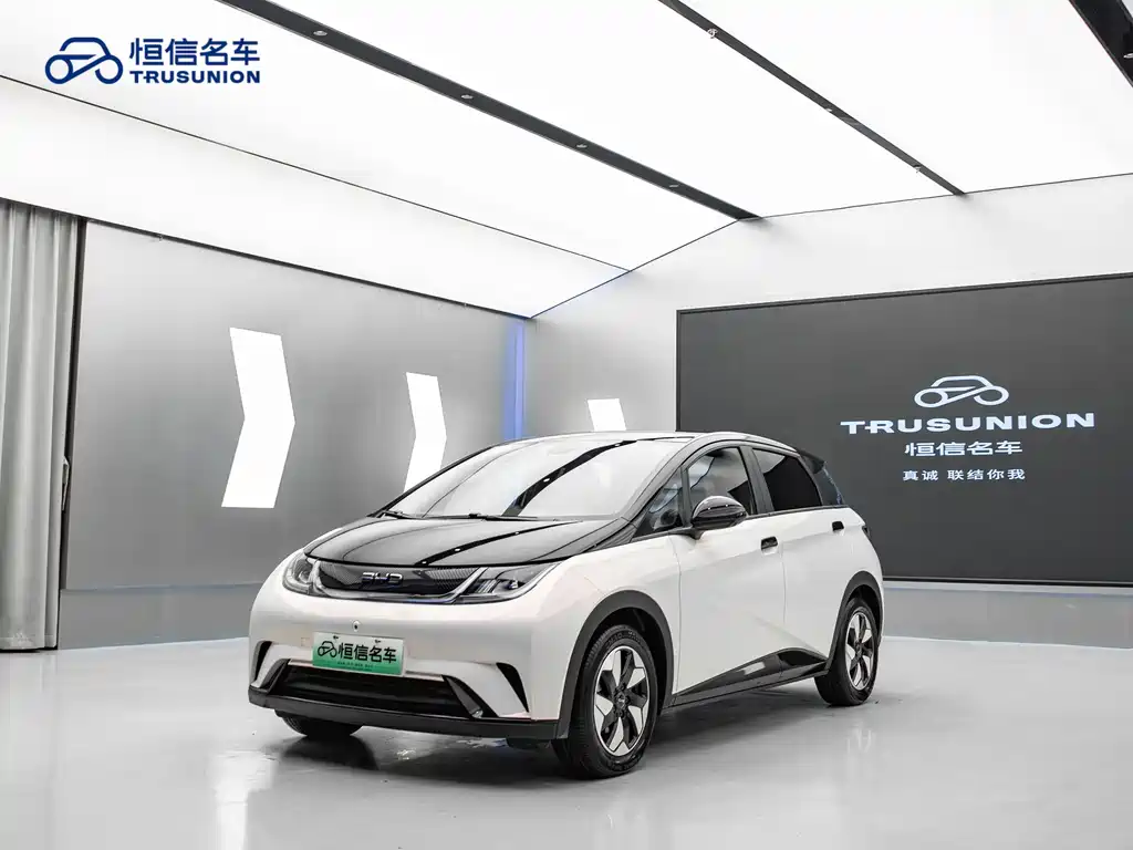 BYD Dolphin 2024