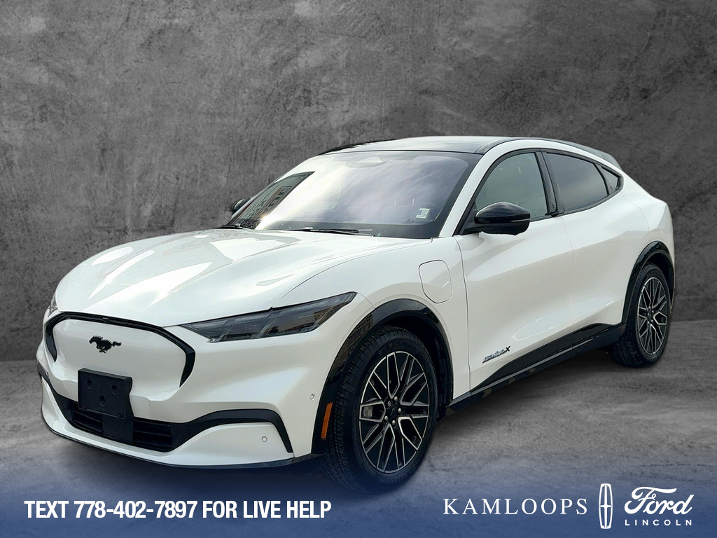 Ford Mustang Mach-E 2024